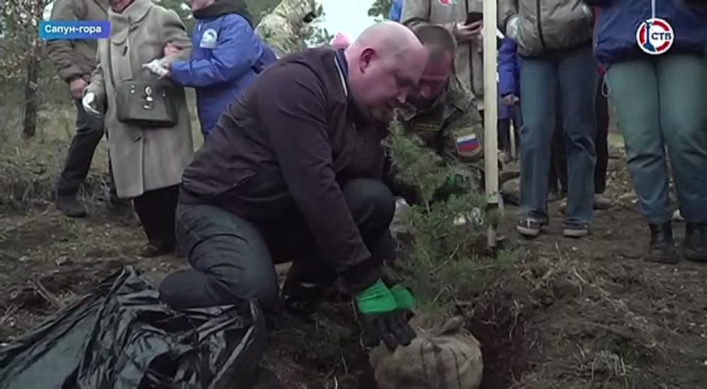 � ����������� �������� 80 ������ � ������ ����� ���� ������