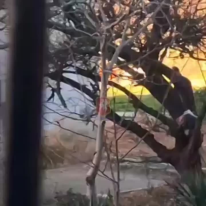 С кирпичом в одной руке и металлической гантелью в другой: в Севастополе пьяный мужчина разбил три автомобиля на парковке