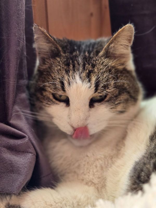 ���� ������������ ���������� ������� � � ������������� �������� ���� ����� ������ ��������