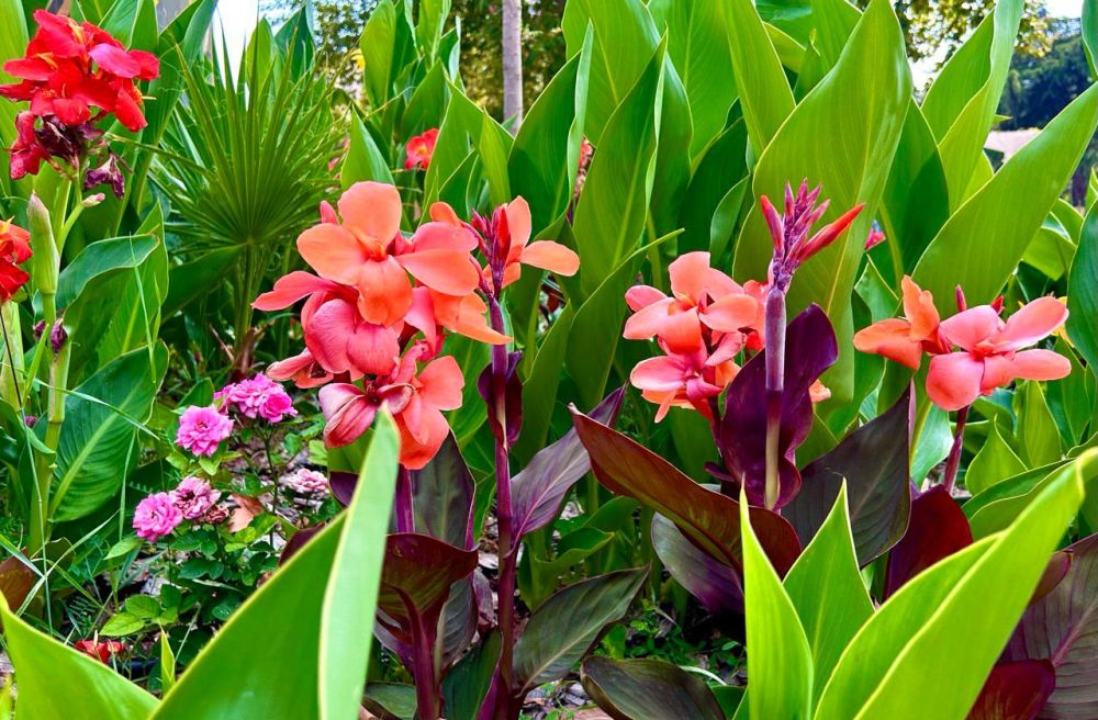 ������� � ����������� ��������� ���������� ����������