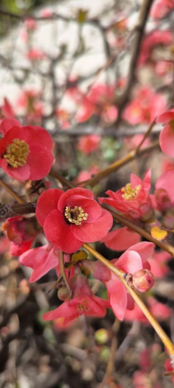 ���� ������� ����!. � ����� � ����������� ��� �������. ����� ������-�������� 10-15�/�. ����������� ������� ����� -2...0��, ���� +4...+6��, � ���� +9��