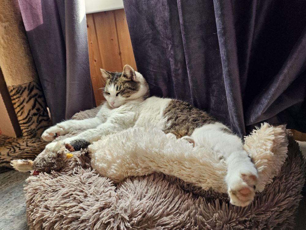 ���� ������������ ���������� ������� � � ������������� �������� ���� ����� ������ ��������