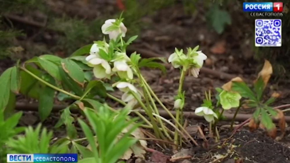 ����� ����� ����� ����� �������� ���� �����