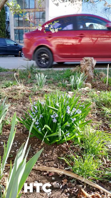 #���_�����. ������� ������ �������� � ����� �� ������� ��� - ������� �����������