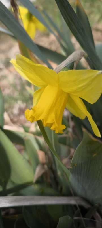 ���� ������� ����!. � ����� � ����������� ��� �������. ����� ������-�������� 10-15�/�. ����������� ������� ����� -2...0��, ���� +4...+6��, � ���� +9��