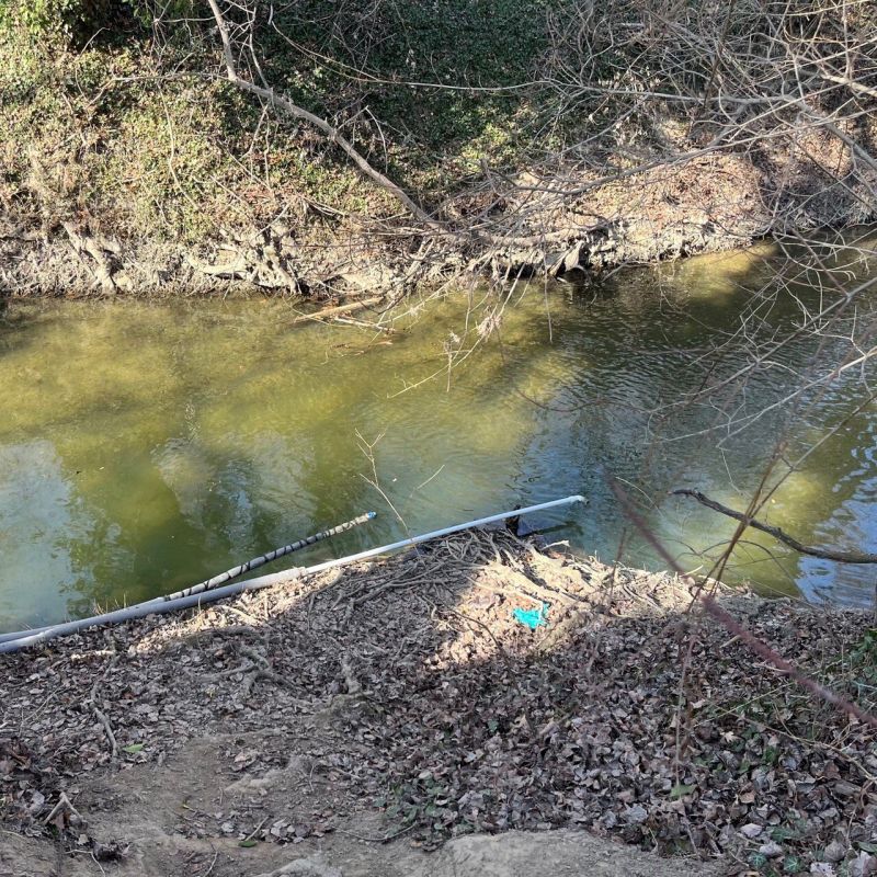 � ���� ��������� ������������ ���� �������, ������������ �����������������, ���� �������� ����� ����������� ������������ ������������ ������, ������� ������������� ��� ������ ���� �� ����