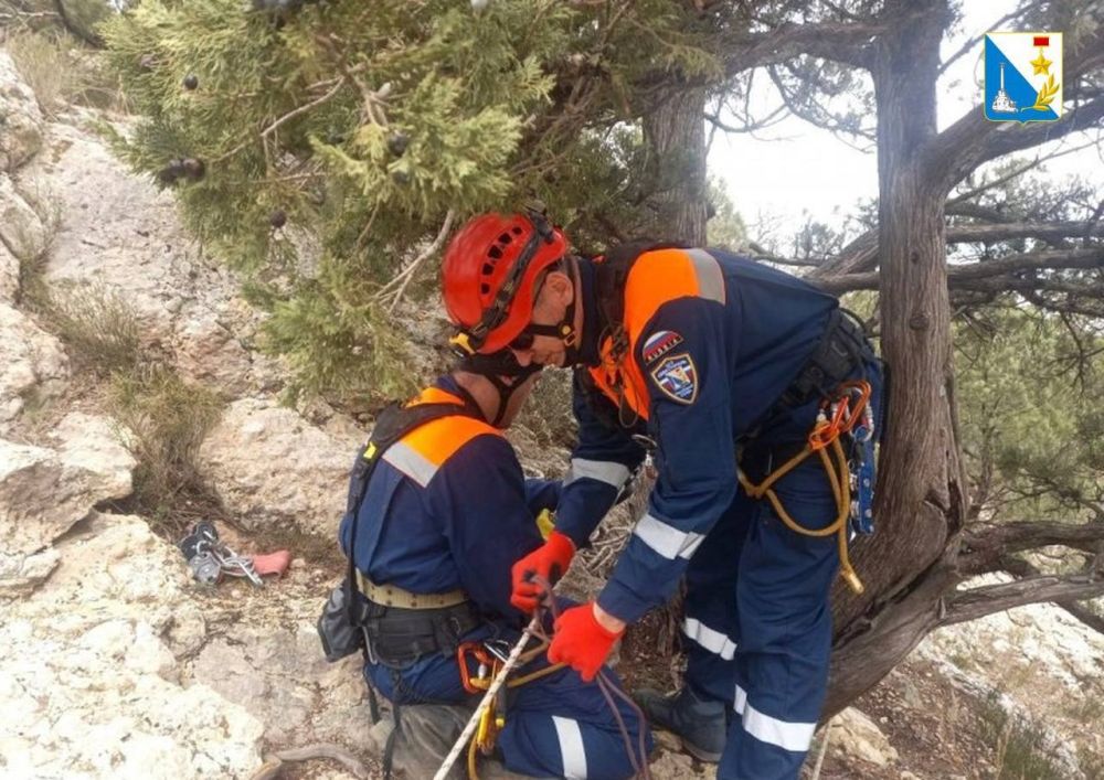 � ������������ ������ ������ ������-������������� ������� ��������-������������� ������������� ���