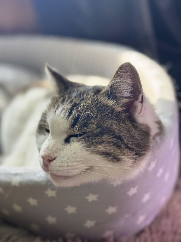 ���� ������������ ���������� ������� � � ������������� �������� ���� ����� ������ ��������