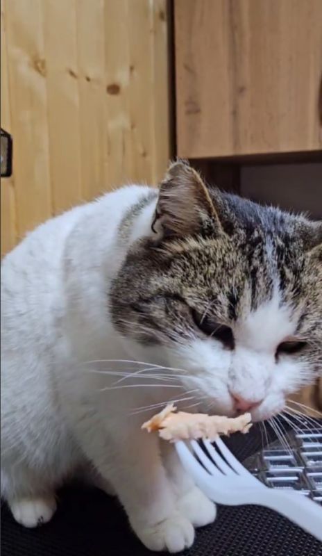 ���� ������������ ���������� ������� � � ������������� �������� ���� ����� ������ ��������