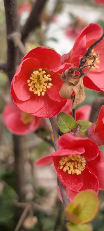 ���� ������� ����!. � ����� � ����������� ��� �������. ����� ������-�������� 10-15�/�. ����������� ������� ����� -2...0��, ���� +4...+6��, � ���� +9��