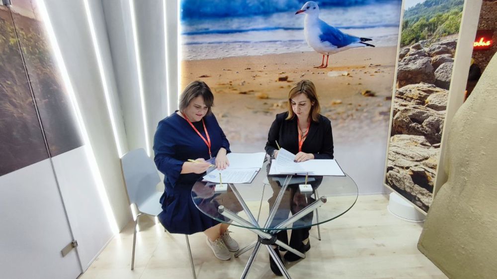 ����� �������: ����� ������ ������ ������ ����������� �� 31-� ������������� ������������� �������� MITT