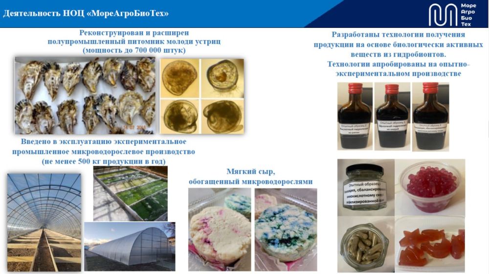 ����� �������: �� ��������� ������ ����������� �������� ������� � �������������� ������ ����������� ������� �������� ������-��������������� ������� �������� ������ �� ������ 2025-2030 �����