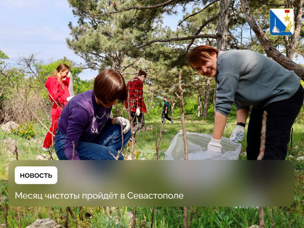 В Севастополе пройдет месяц чистоты