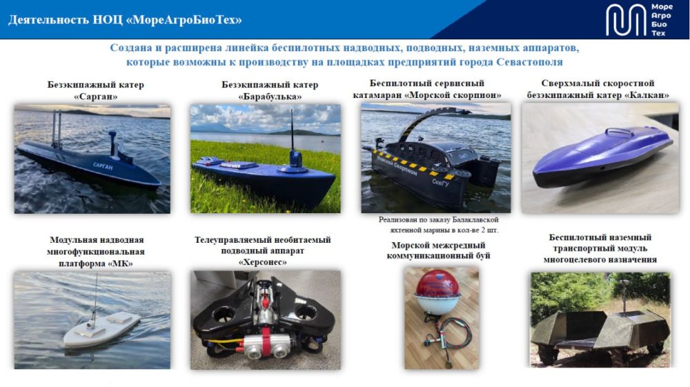 ����� �������: �� ��������� ������ ����������� �������� ������� � �������������� ������ ����������� ������� �������� ������-��������������� ������� �������� ������ �� ������ 2025-2030 �����