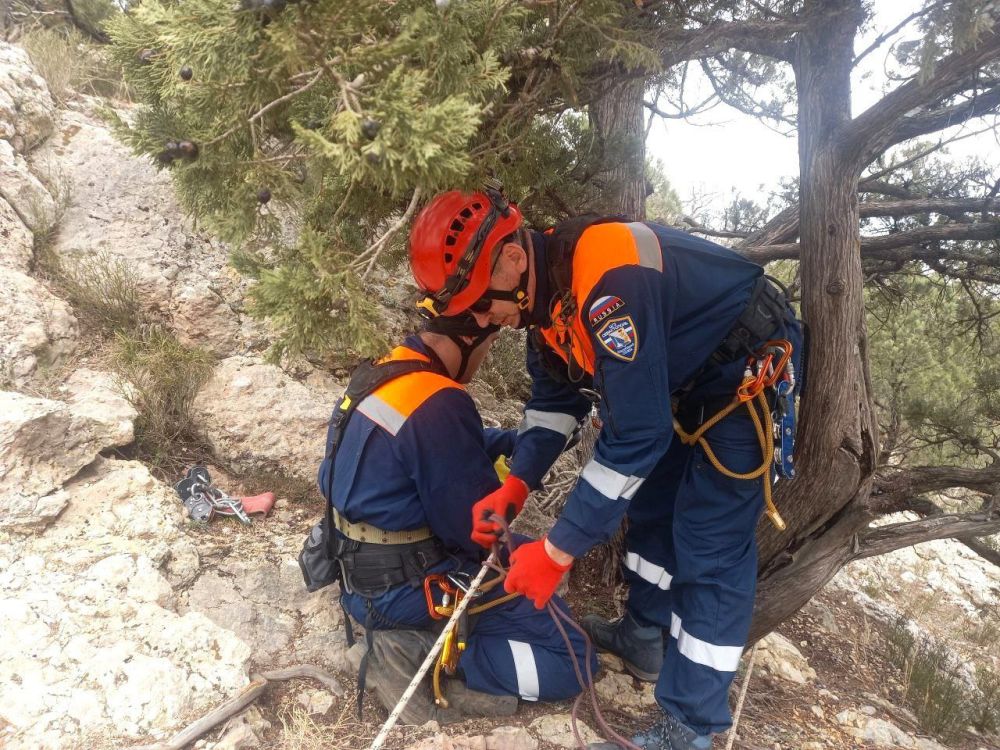 ��������� ����������� �������������� ��� ���������� �� ���� ����-���