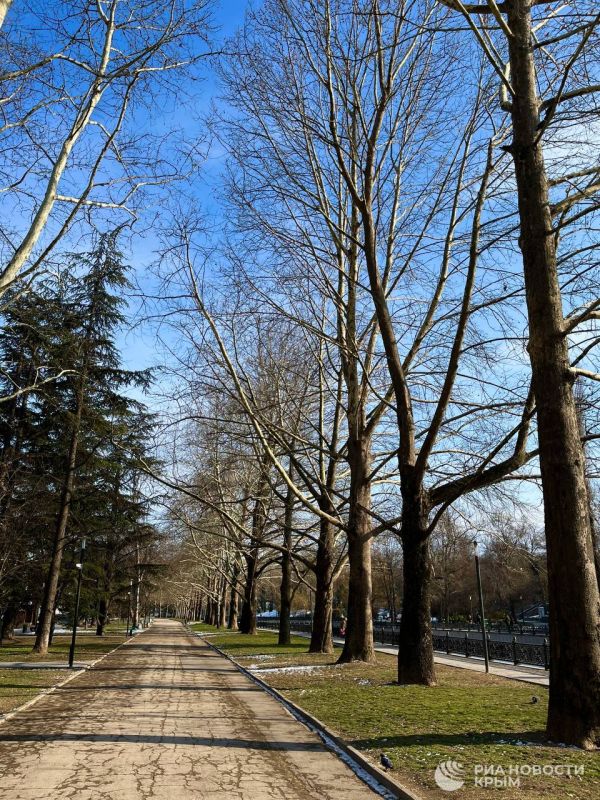 ������� ������ � ����� �� �������