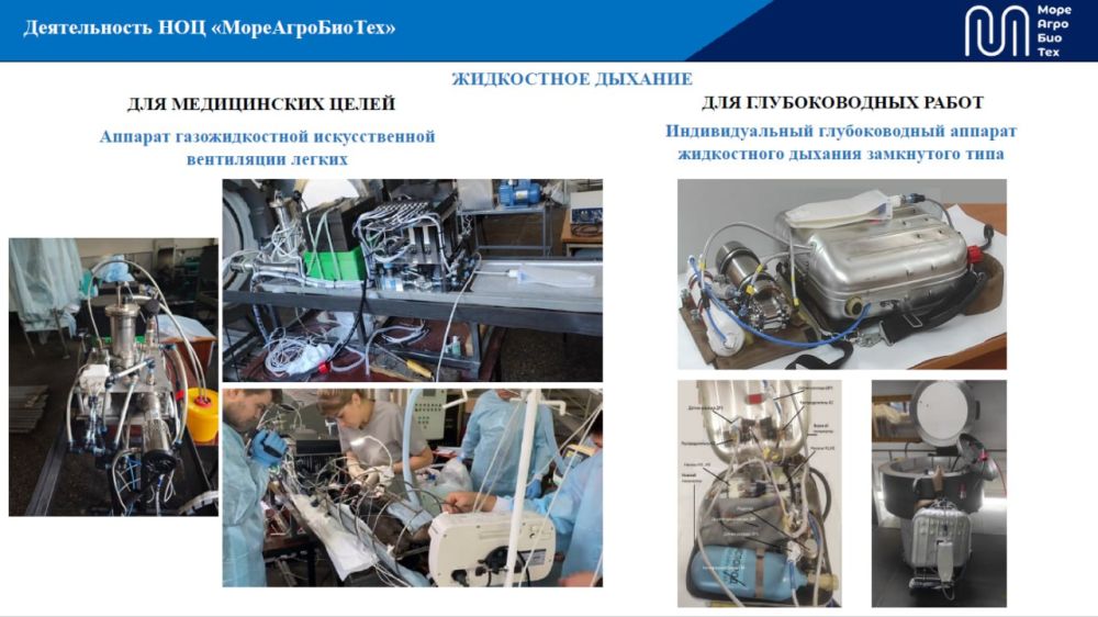 ����� �������: �� ��������� ������ ����������� �������� ������� � �������������� ������ ����������� ������� �������� ������-��������������� ������� �������� ������ �� ������ 2025-2030 �����