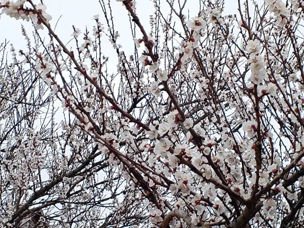 ������� ������ � ����� �� 20 �����