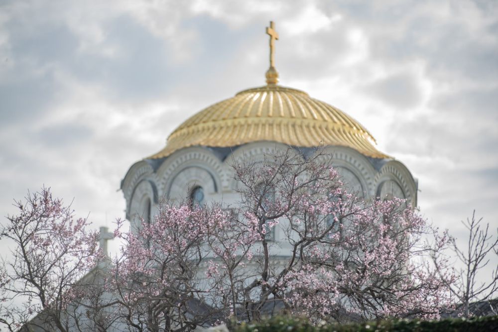 ���� ����� � ��������� ����������!