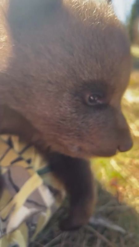 ������ ������ ������, � ��������� � ������ �� ��������