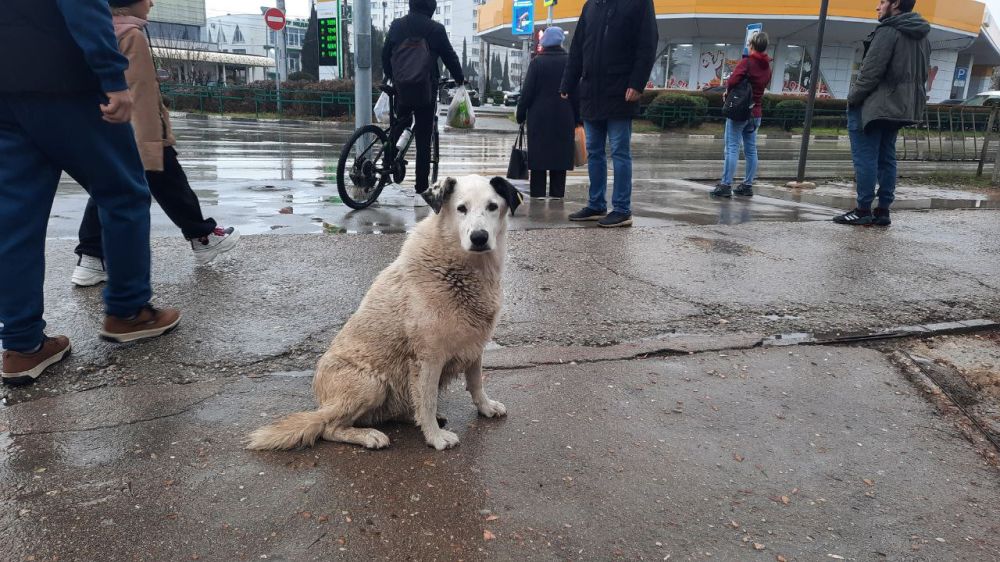 ������������ ������������� �� ����������� ��������� ����� �������� �� �������������� ����