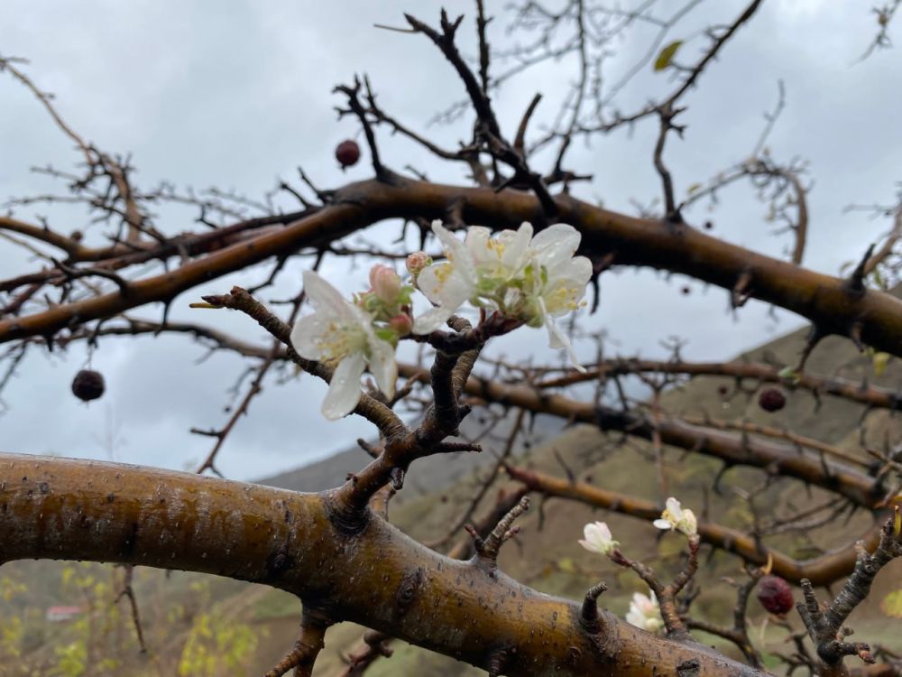 ������� ������ � ����� �� 21 �����