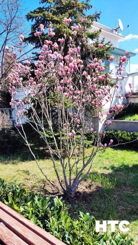 ������� ����� ������ ��� ��������� ������������