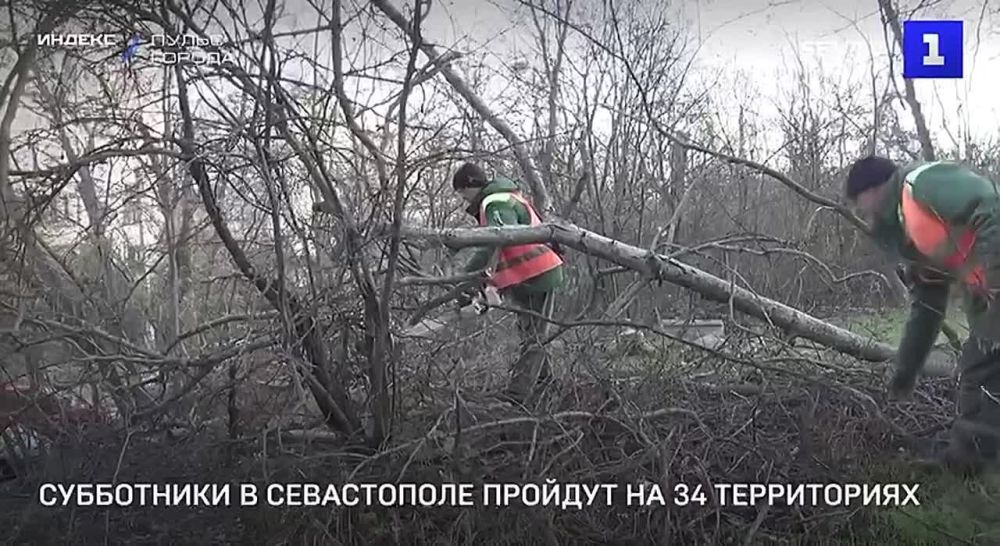 ���������� � ����������� ������� �� 34 �����������