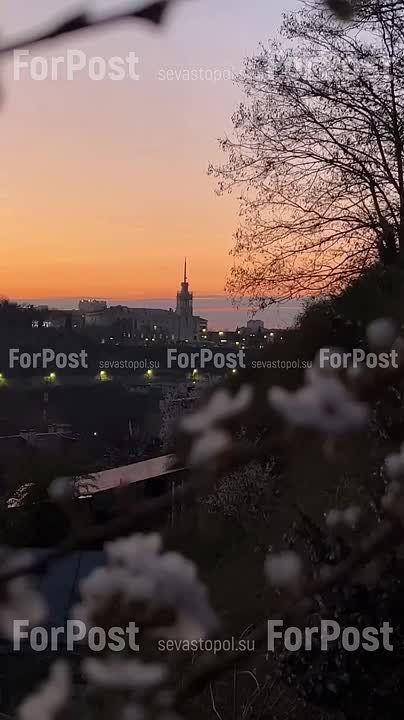 ����� � ���������� ���� � ���������� �������� �����