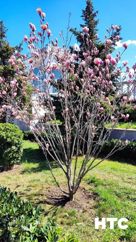 ������� ����� ������ ��� ��������� ������������