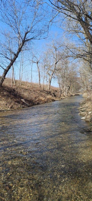 �� ������� ������ ��������������� ���������������� ��������� �������������� ������������ �. ������� (����� ������������� �� ���������� ������ ����������� 21 ��) �� ������� ������� �������