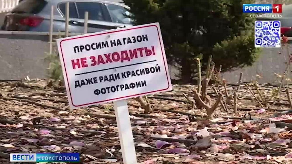 "�� ������� �� ������ �� ��������": ��������� �������, ��������� ����������������� ������ ��� "����� � ������," � ������ ����� "�����.�����������" ����������, ��� ���������� �������� � �������� ����� �������� � ���������...