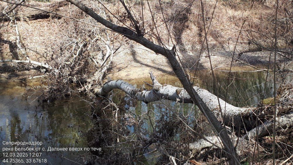 �� ������� ������ ��������������� ���������������� ��������� �������������� ������������ �. ������� (����� ������������� �� ���������� ������ ����������� 21 ��) �� ������� ������� �������