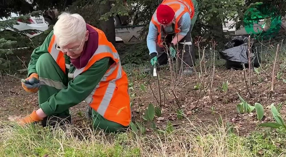 ����������� ��� ������ � ������� ������� � ������� ������� �� ������� ��������: ���������� �� �������� � ��������� ��������� �����