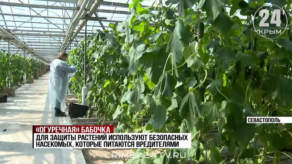 ������� 40 ��������� �������� ����� � ����������� �������� �� ������� ����������� ����������