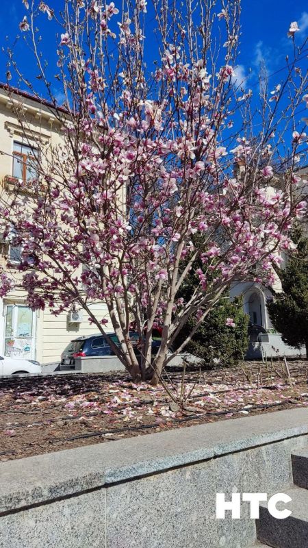 ������� ����� ������ ��� ��������� ������������