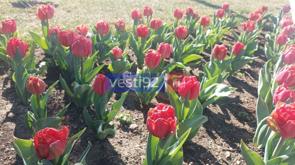 ������ ���� ������ �������� �������� �� ���������� ��������