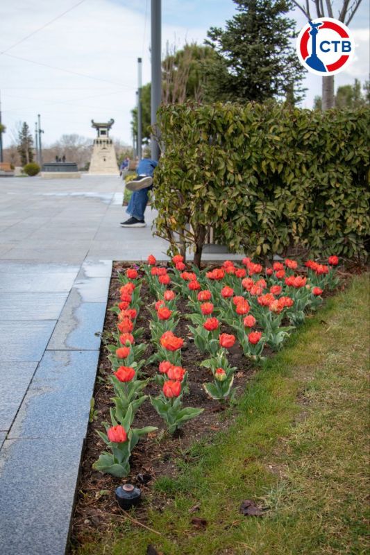 �� ���������� �������� �������� ��������