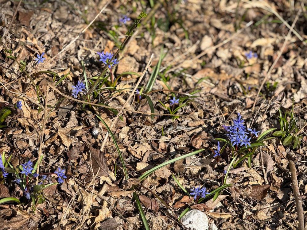 ������� �����: ������� � ����������� �������� ������������� ����������