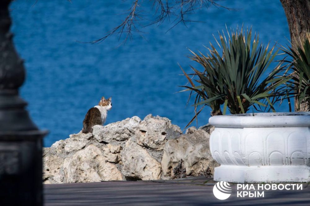 ������� ������ � ����� �� �������