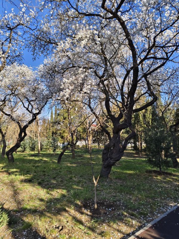 � ������ ��������� �����, ������!