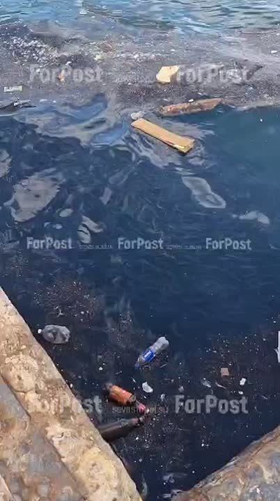 Рыбак и рыбки в Артбухте