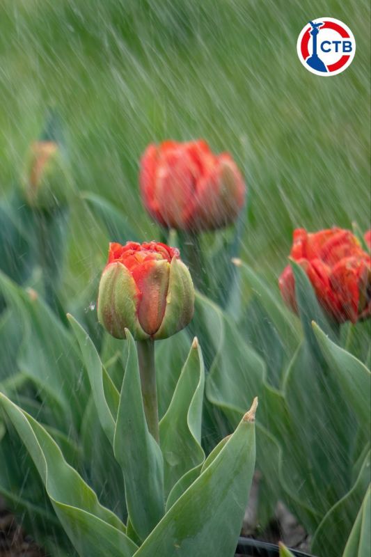 �� ���������� �������� �������� ��������