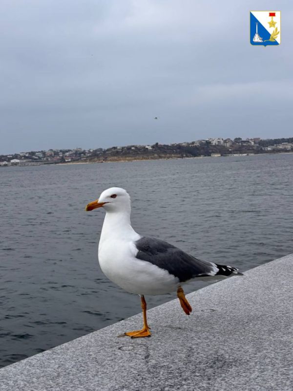 ������ ����, ������� �����������!