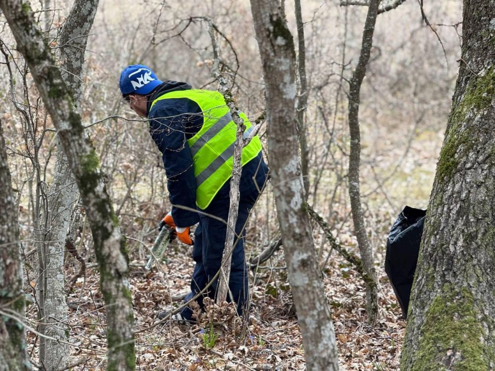 ������� �����: ������� � ����������� �������� ������������� ����������