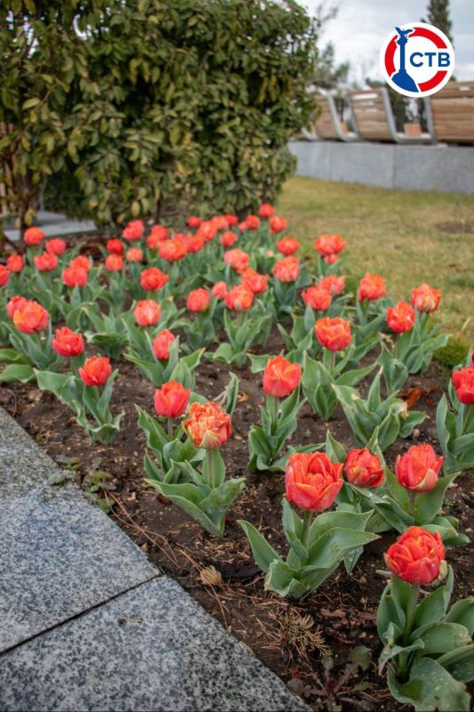 �� ���������� �������� �������� ��������