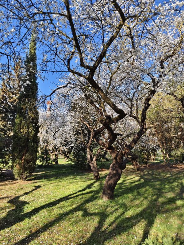 � ������ ��������� �����, ������!