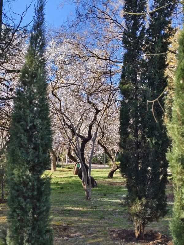 � ������ ��������� �����, ������!