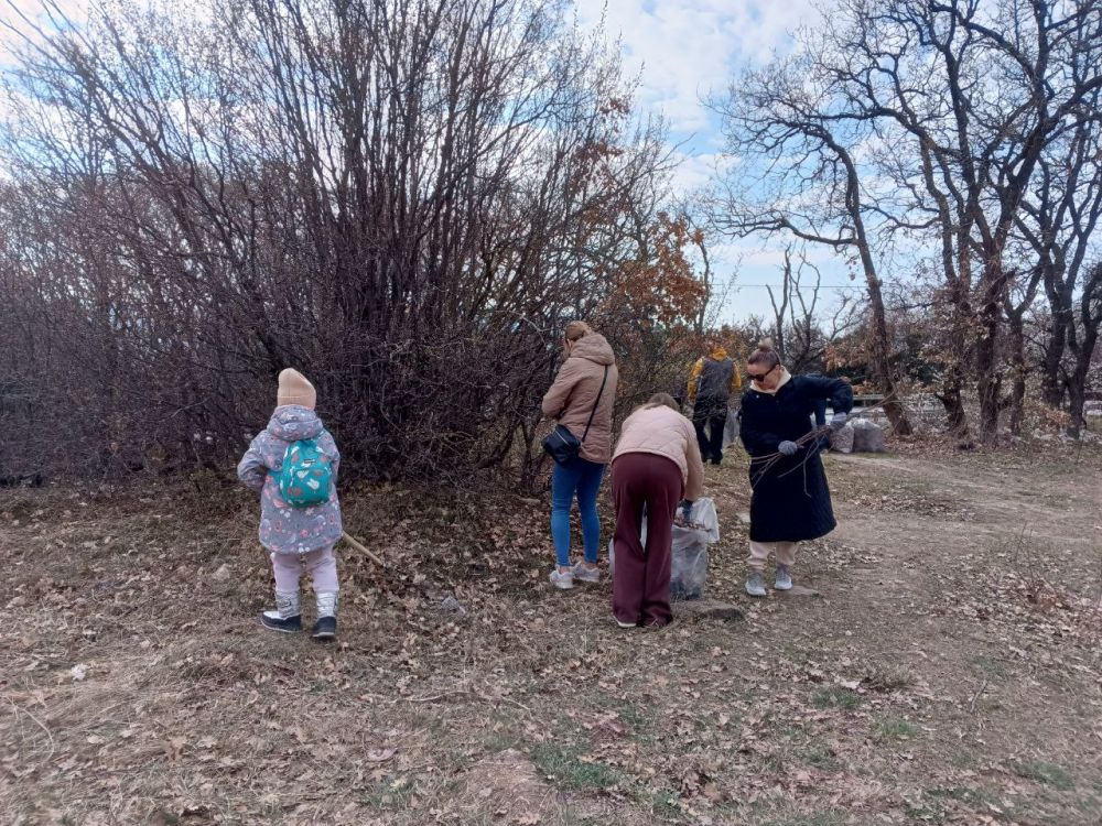 �������� ��������: ������� �� ��������� ����������� ������ ����������� ������� ������������� ���������� � ����������� ���������� ������������� ����������