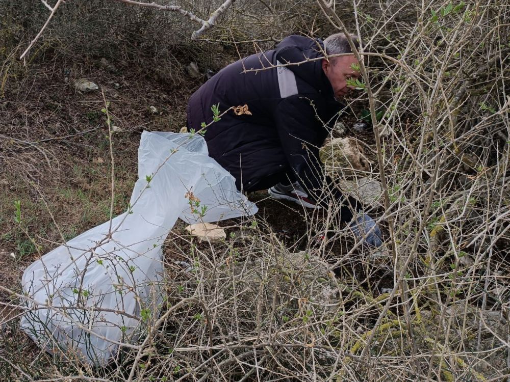 ������� �������� �������